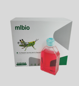 MLTC-1小鼠睪丸間質細胞瘤細胞主圖