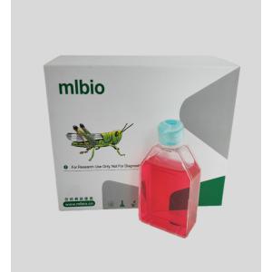 小鼠胚胎干細胞主圖