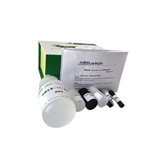 抗脂質(zhì)過氧化能力/LPO抑制率測定試劑盒微板法/96樣主圖