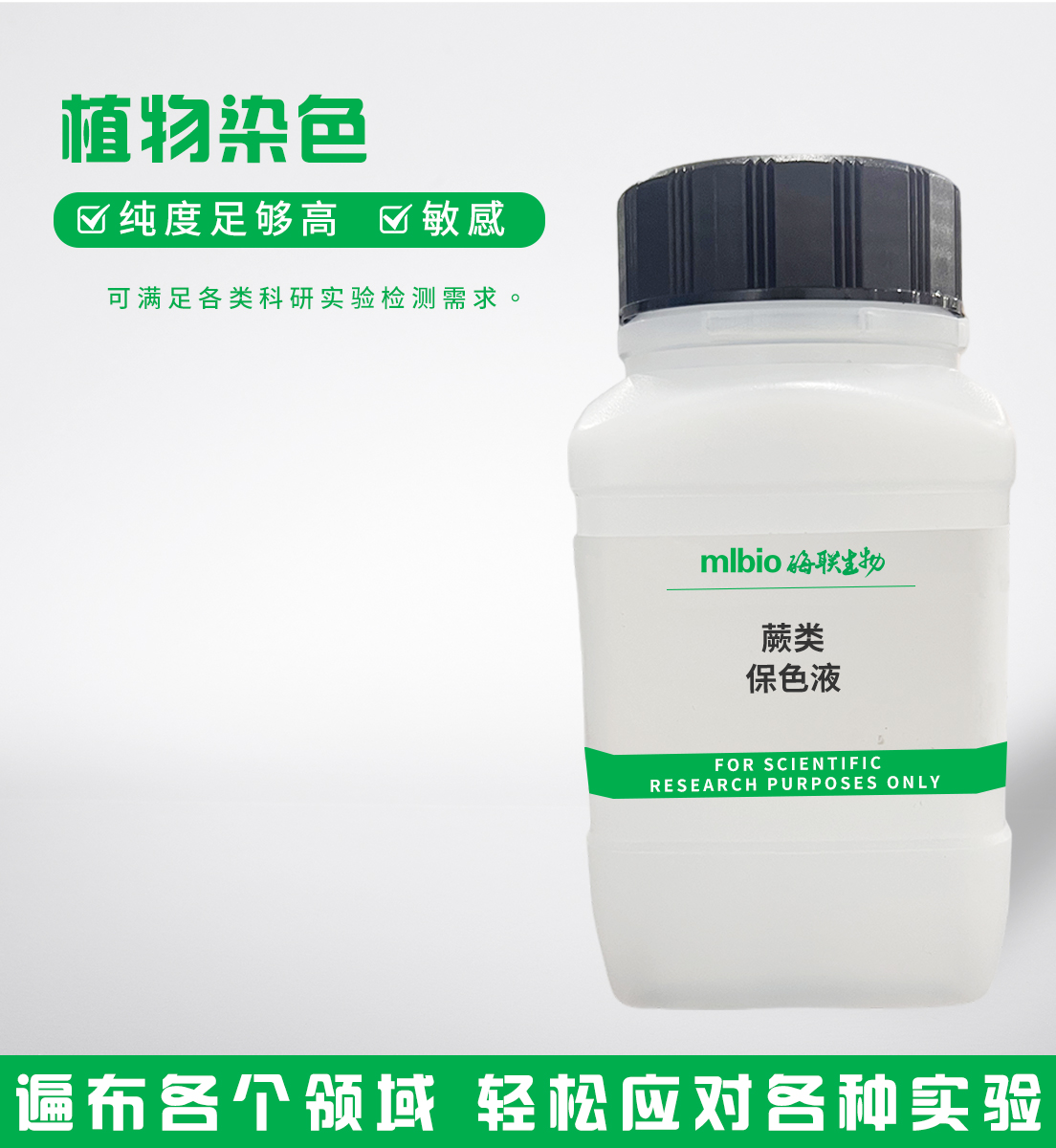 蕨類保色液主圖