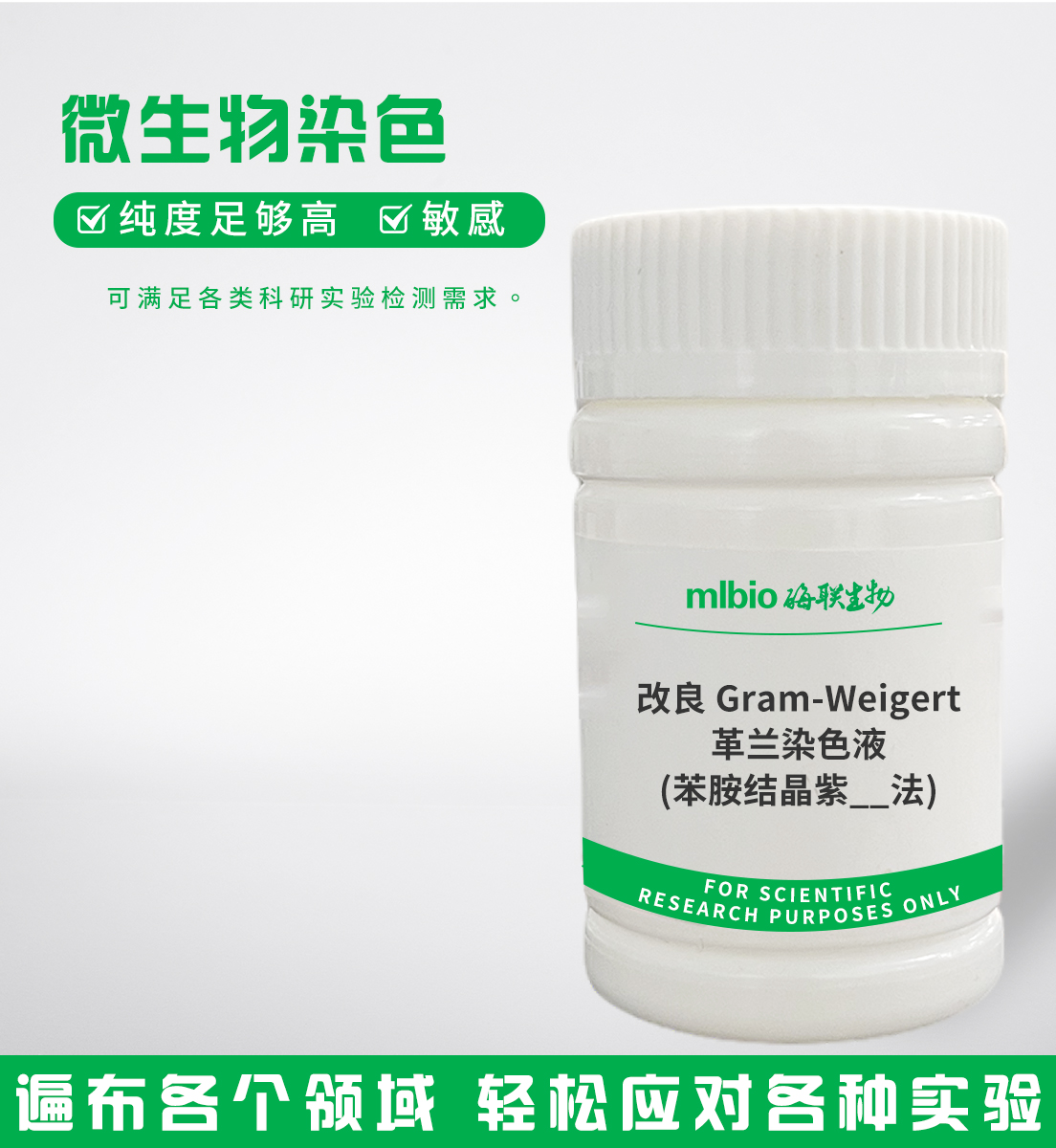 改良Gram-Weigert革蘭染色液(苯胺結晶紫法)主圖
