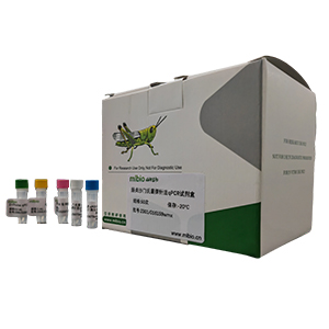 安氏隱孢子蟲探針法qPCR試劑盒(不含內參)主圖