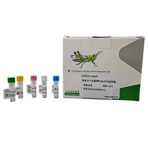 希望山漢坦病毒探針法qRT-PCR試劑盒(不含內(nèi)參)主圖