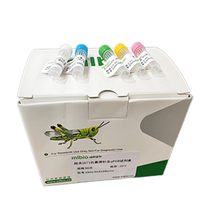 肺孢子蟲通用探針法qPCR試劑盒(不含內(nèi)參)主圖