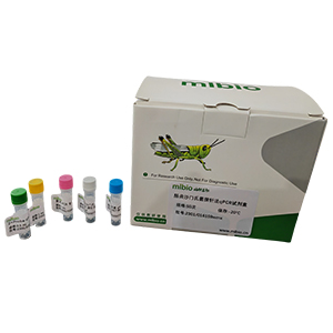 解淀粉芽孢桿菌探針?lè)╭PCR試劑盒(不含內(nèi)參)主圖