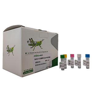 柯薩奇病毒A12型變種探針法qRT-PCR試劑盒(不含內(nèi)參)主圖