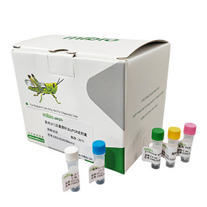 泰國肝吸蟲探針法qPCR試劑盒(不含內參)主圖