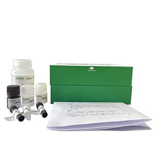 土壤磷酸單酯酶試劑盒主圖