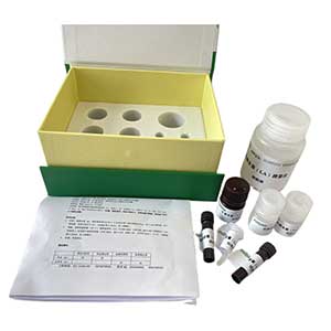 溶菌酶(LZM)活性試劑盒48樣主圖