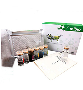 小鼠多巴色素互變酶(TRP2)試劑盒主圖
