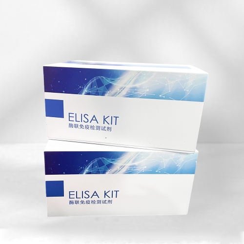大鼠免疫球蛋白M(IgM)ELISA試劑盒主圖